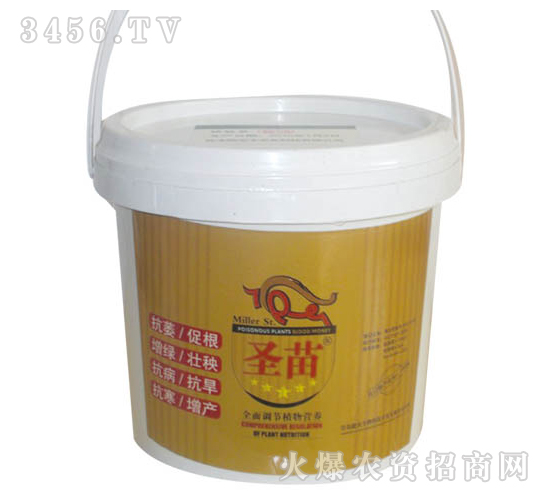 ˮ���ؾ��z���׷�-ʥ��-���r(n��ng)����