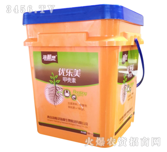 �ך���-��(y��u)��(l��)��-���L�`