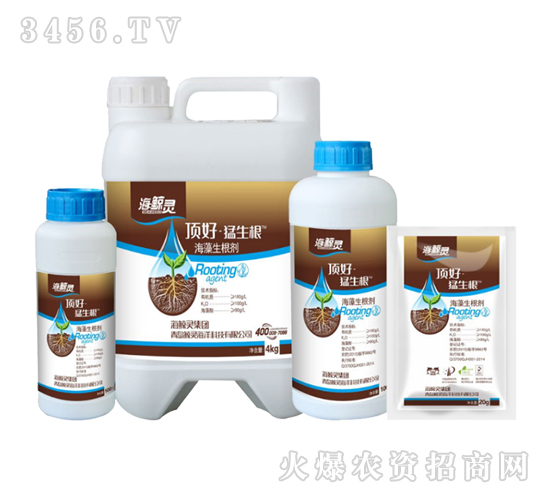 ����������-픺�-������-���L�`