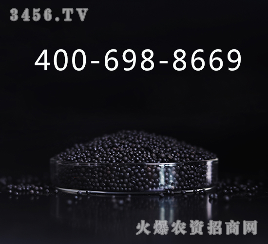 �����ЙC(j��)�����w��-��ʩ��-�G���@