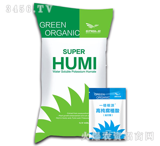 �߼���ֲ��-һ���Դ-Ҽ������