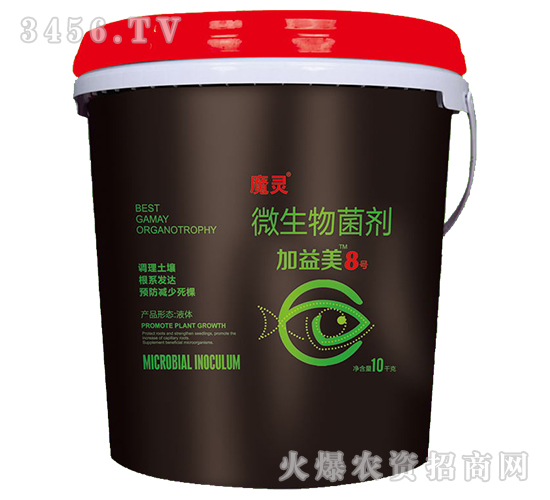 ħ�`΢�������-������8̖(h��o)-��������