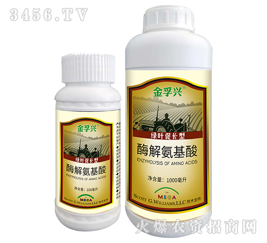 ø�ⰱ����-�����d-���S�ʘI(y��)