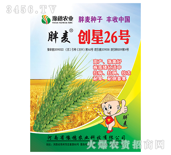 創(chuàng)星26號(hào)-小麥種子-豫穗農(nóng)業(yè)