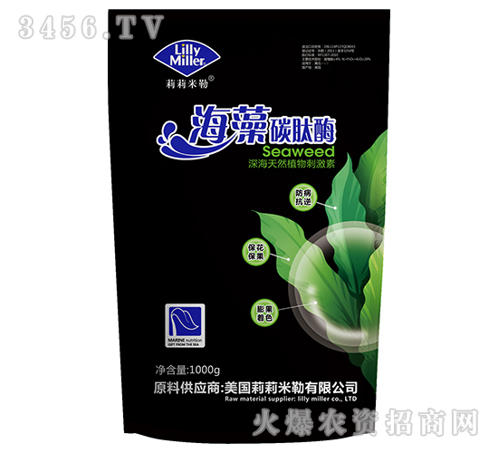 海藻碳肽酶-莉莉米勒-黃海海洋