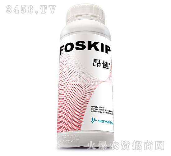 ����-Ҽ������