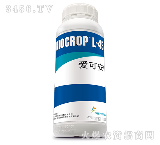 �ۿɰ�-Ҽ������