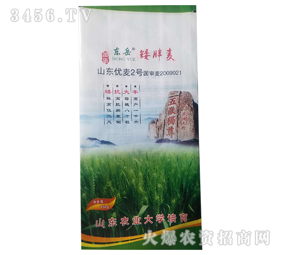 小麥種子-矮胖麥（山東優(yōu)麥2號）-東岳