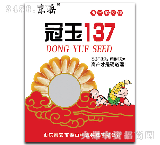 冠玉137-玉米種子-東岳