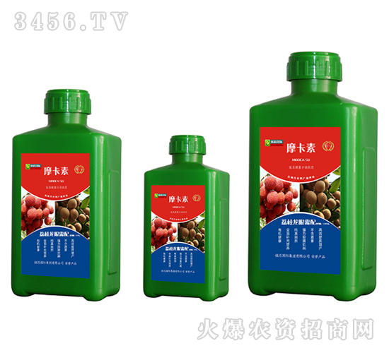 ��֦���ی��ð���������Һ�ķ�-Ħ����-��(qi��ng)о