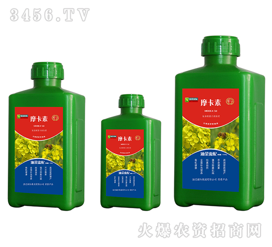 �Ͳˌ��ð���������Һ�ķ�-Ħ����-��(qi��ng)о