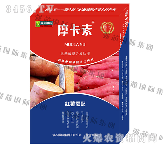 �t�팣�ð���������Һ�ķ�-Ħ����