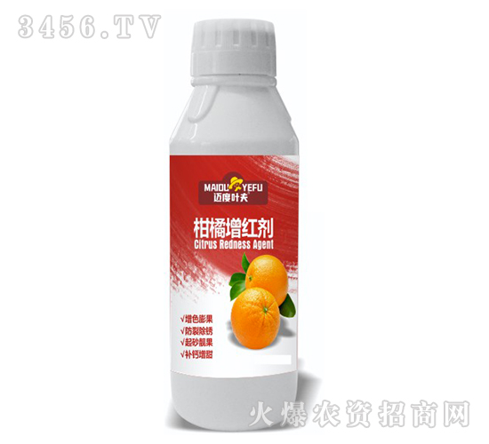 �������t��-�~���~��