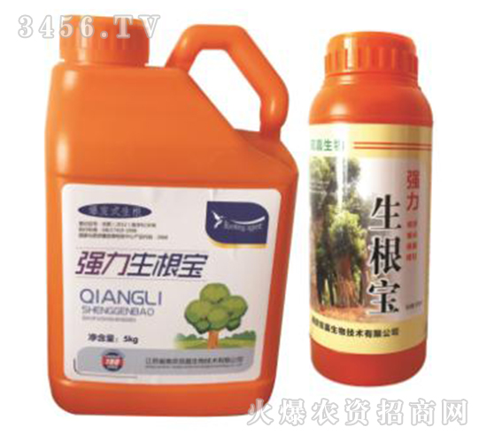 ����������-�p������