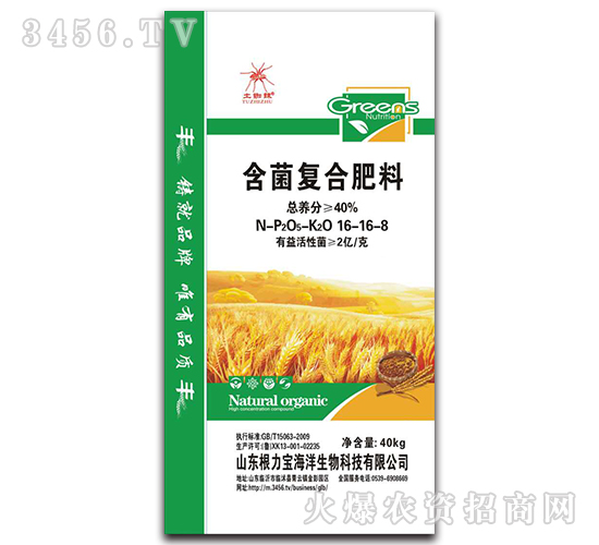 �����ͺϷ���-��֩��-������