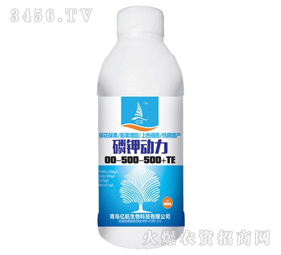 ��⛄���00-500-500+TE-�|��