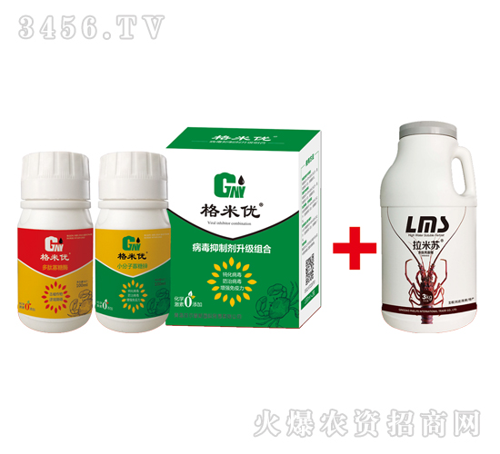 �������ί������M��-���׃�(y��u)-�Ơ���˹