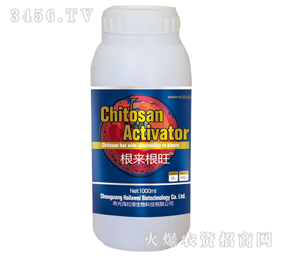 根來根旺-海拉維