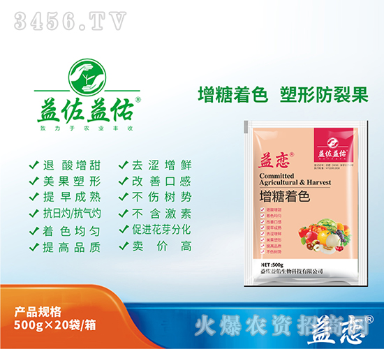 ������ɫ��-���-��������