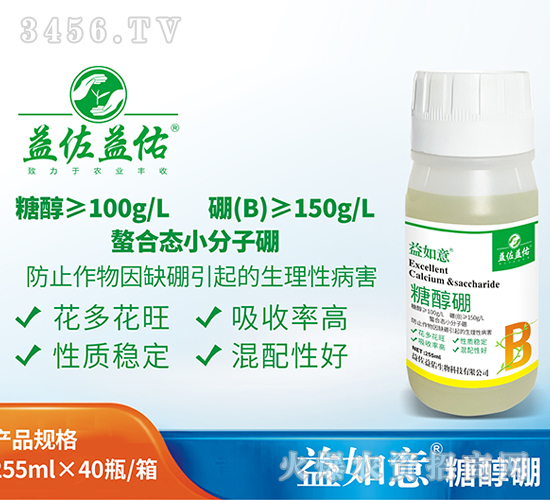 �Ǵ���-������-��������