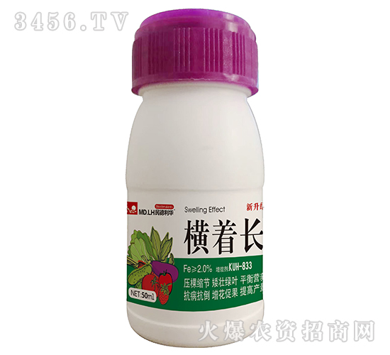 �~���-�M���L(zh��ng)-������A