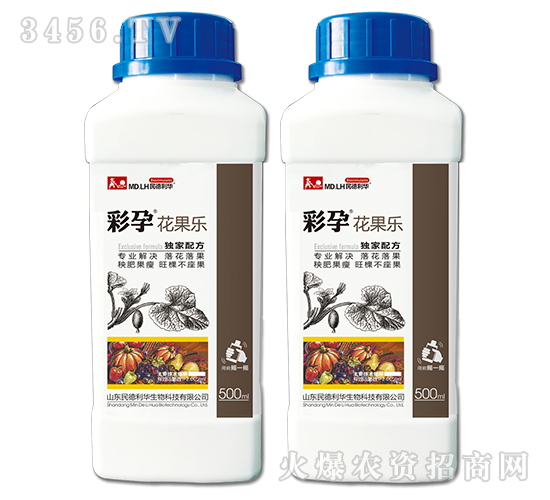 ������-����-������A