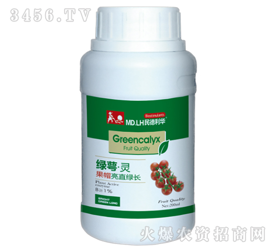 果帽亮直綠長-綠萼靈-民德利華