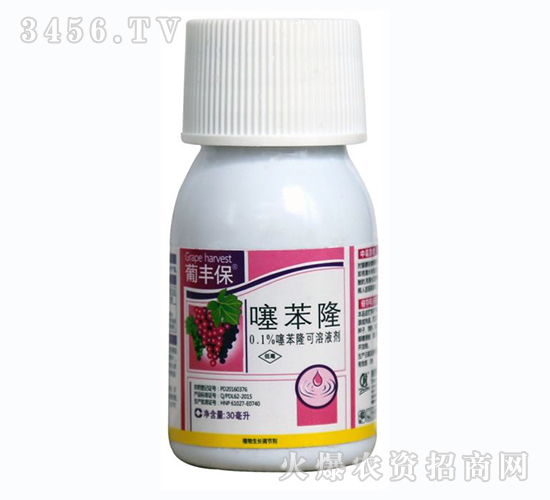 �籽¡-���S��-�G�D����