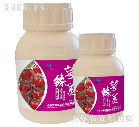 ���徫�A-������-�����������u(y��)