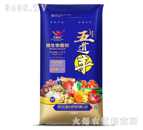 10�|΢�������-����S