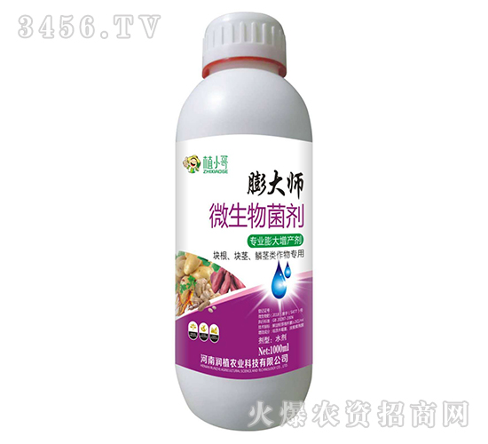 ΢�������-���-��ֲ