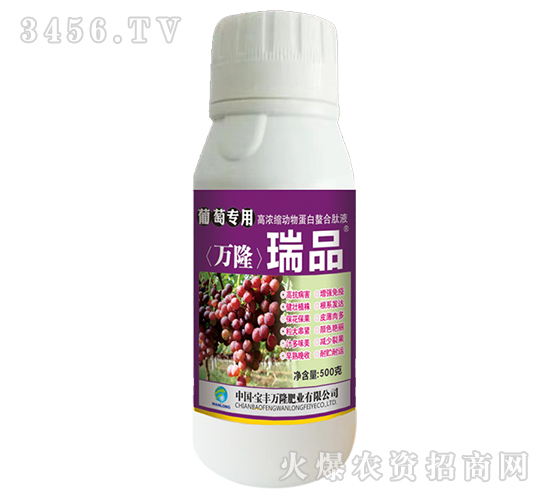 ���ь����~���-�f¡��Ʒ