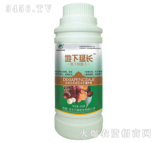 地下猛長-寶豐萬隆