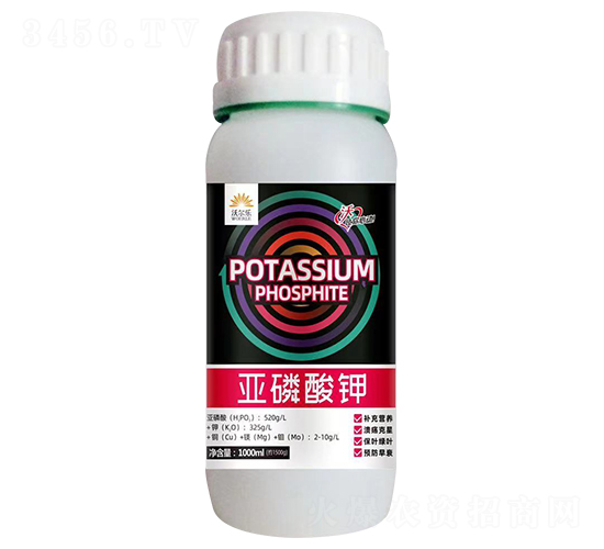 �������-�֠���(l��)