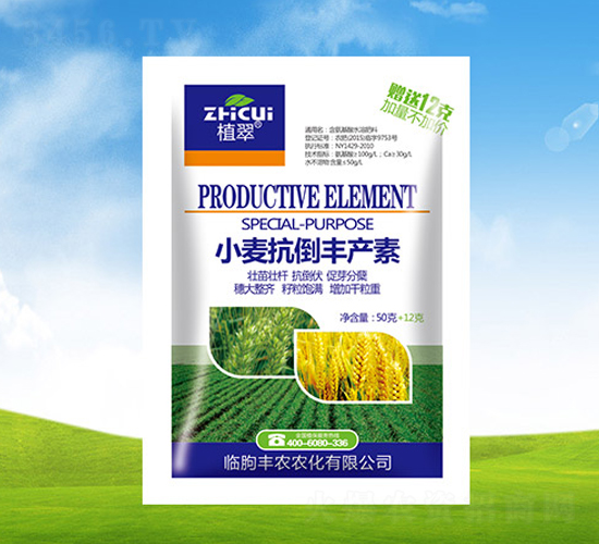 С�������S�a��-ֲ��-�S�r�r��