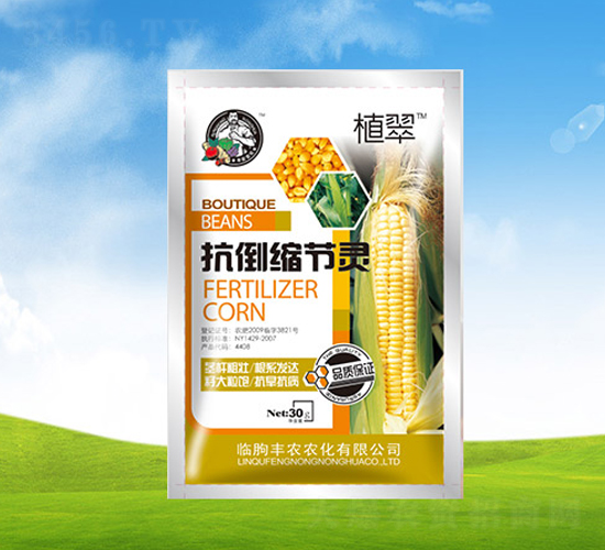 ���׿����s��(ji��)�`-ֲ��-�S�r(n��ng)�r(n��ng)��