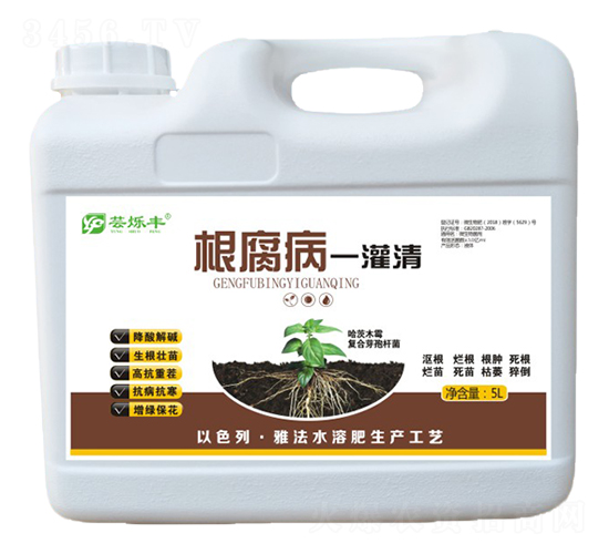 ������һ����-�|���S