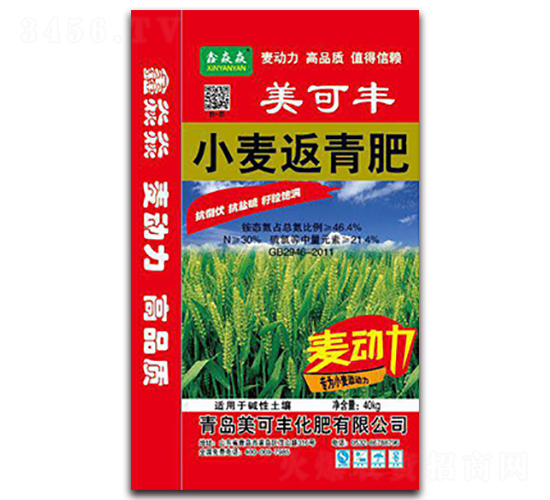 С�������-�����S