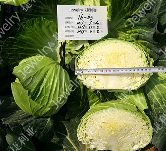 �ݸ�1665-���{�N��-������