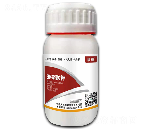 �������-����