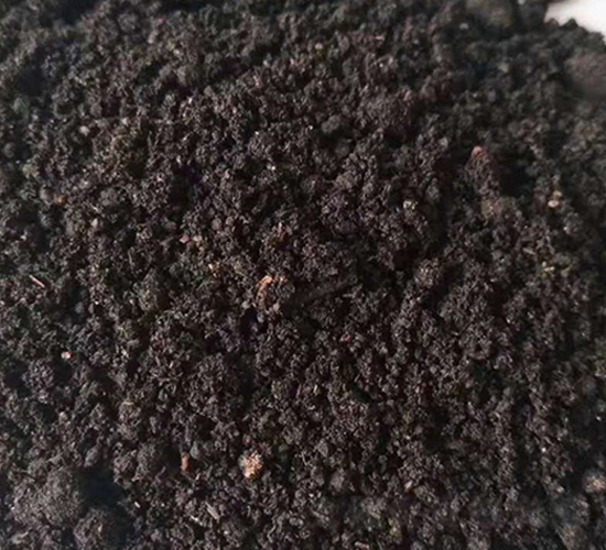 �l(f��)���u�S�ЙC��-���|�ʘI(y��)