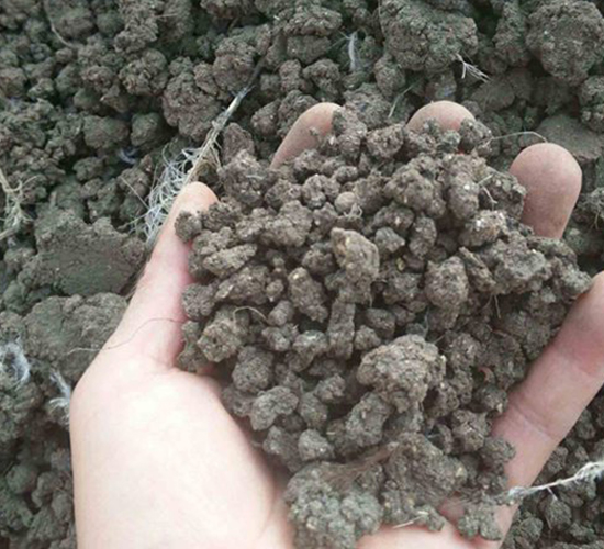 �l(f��)���u�S�ЙC(j��)����-���|�ʘI(y��)