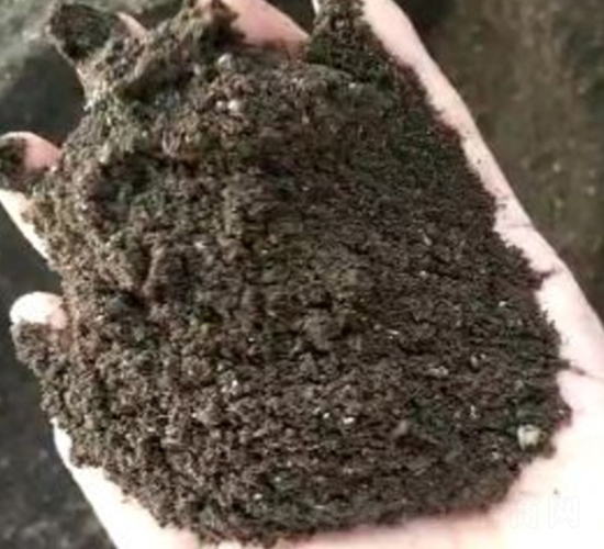 �l(f��)�ͼ��u�S-���|�ʘI(y��)