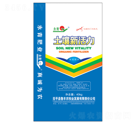 �����»���-����