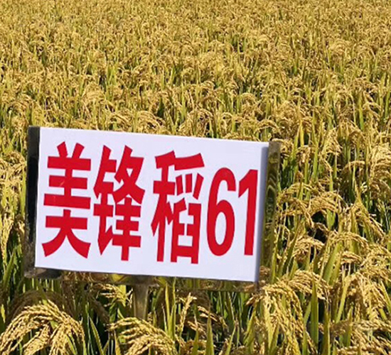 ���h��61-ˮ���N��-�|��