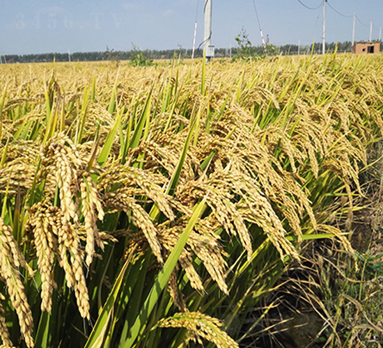 �F��14-ˮ���N��-�|��