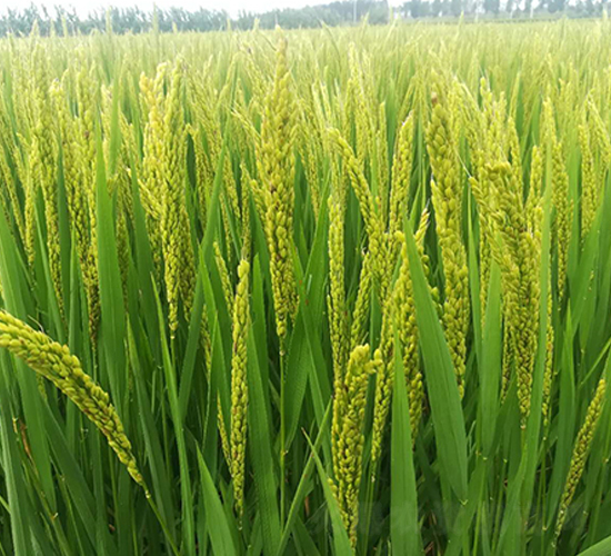 �F��16-ˮ���N��-�|��