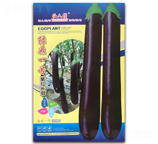 �G��һ̖(h��o)-���ӷN��-�A�~