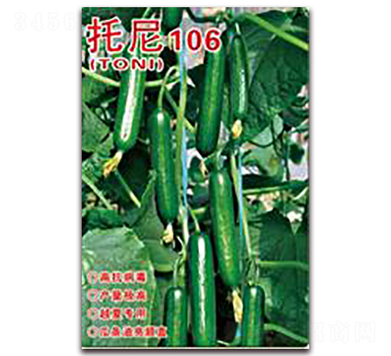 托尼106-黃瓜種子-仁禾種業(yè)