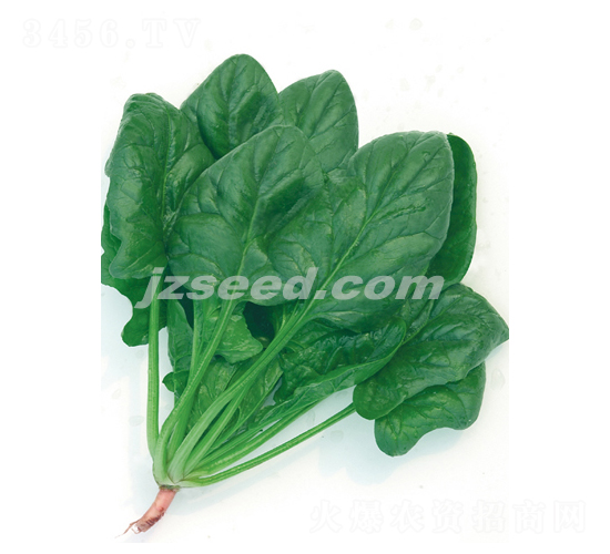 �|���G��-���˷N��-�F(xi��n)���N�I(y��)